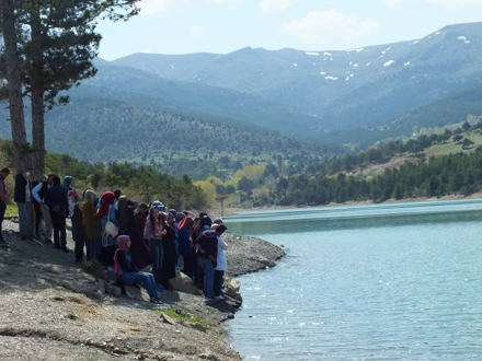 KESTEL ARAZİSİ (2017)