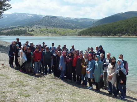 KESTEL ARAZİSİ (2017)