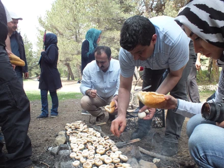 KESTEL ARAZİSİ (2017)