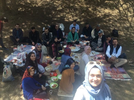 KESTEL ARAZİSİ (2017)