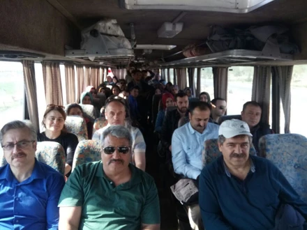 KESTEL ARAZİSİ (2017)