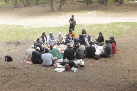 KESTEL ARAZİSİ (2017)