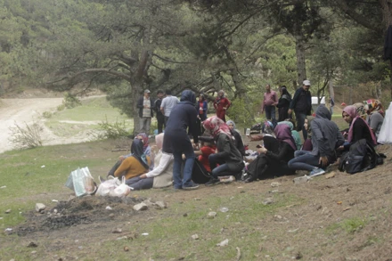 KESTEL ARAZİSİ (2017)