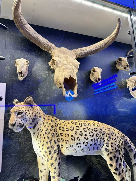 ÇATALHÖYÜK GEZİSİ