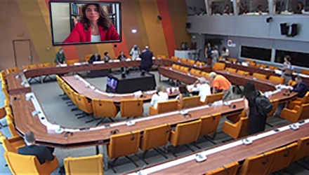 PROF. DR. ÖZLEM KARAKUL, AVRUPA KONSEYİ PARLAMENTERLER BİRLİĞİ’NİN KÜLTÜR BİLİM EĞİTİM VE MEDYA KOMİTESİ’NDE KONUŞMA YAPTI