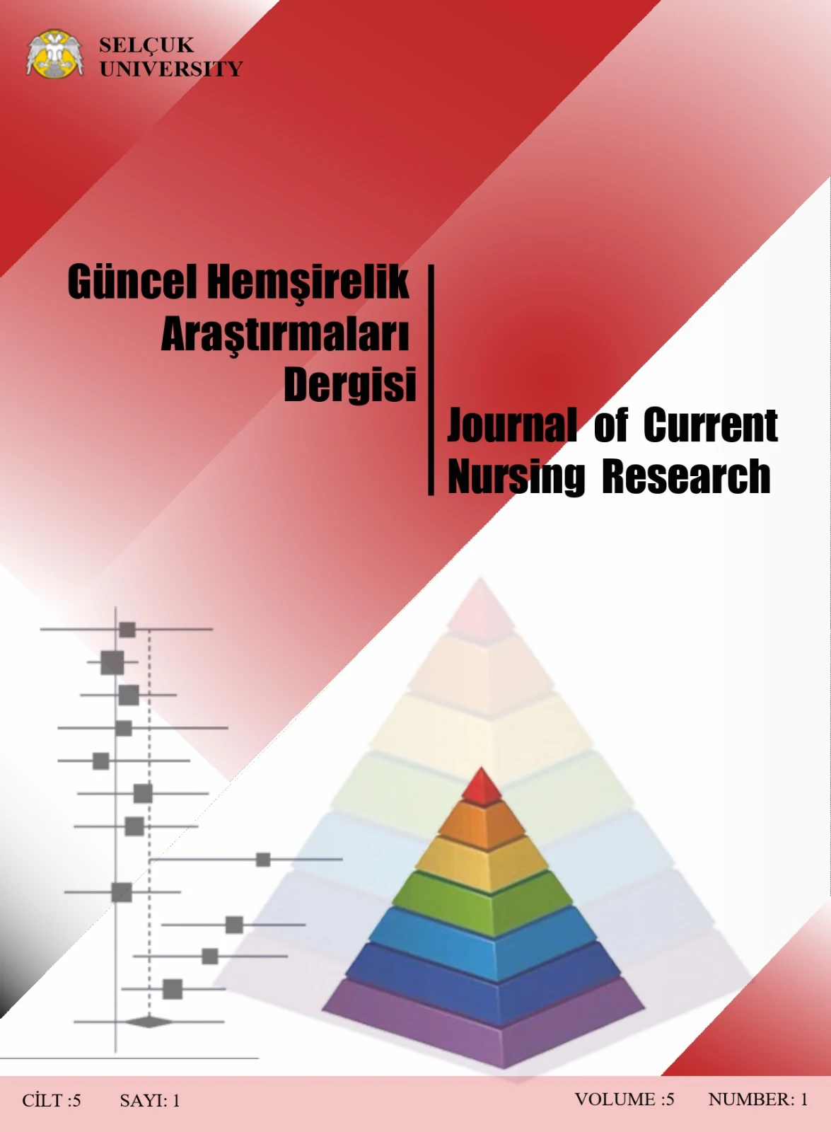 Güncel Hemşirelik Araştırmaları Dergisi 