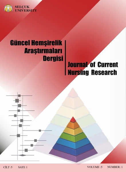 Güncel Hemşirelik Araştırmaları Dergisi 