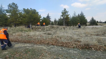 Temiz Alan/Yeşil Yerleşke Çalışmaları Hız Kesmeden Devam Ediyor