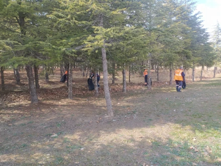 Temiz Alan/Yeşil Yerleşke Çalışmaları Hız Kesmeden Devam Ediyor