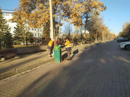 Temiz Alan/Yeşil Yerleşke Çalışmaları Hız Kesmeden Devam Ediyor