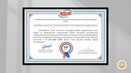 Selçuk Üniversitesi Veteriner Fakültesinin eğitim kalitesi ikinci kez tescillendi