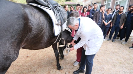 Atlı Polis Birliği’nin atlarına Selçuk Üniversitesinden sağlık desteği