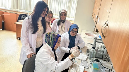 Günde 30 gram lif tüketimi metabolizmayı düzenliyor