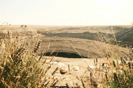 ODAK FOTOĞRAFÇILIK TOPLULUĞU