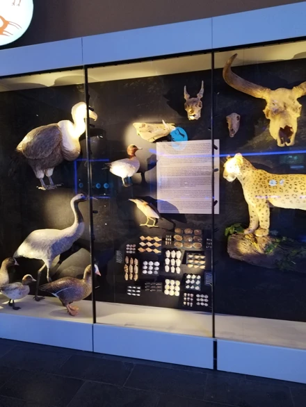 Sağlıklı Yaşam Ve Beslenme Topluluğu