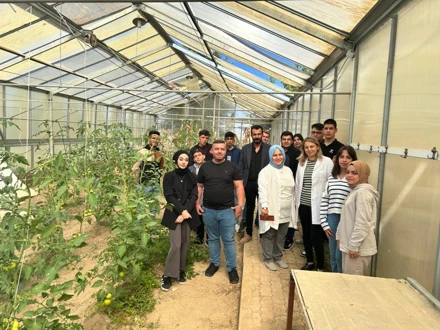 ORYANTASYON PROGRAMI