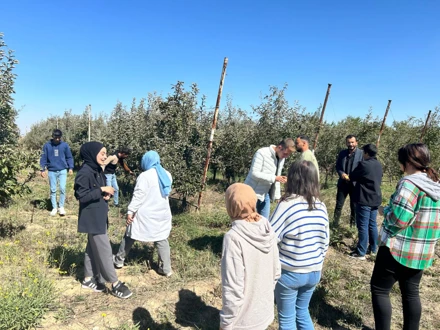 ORYANTASYON PROGRAMI